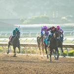 2025 Pat O’Brien Stakes at a Glance